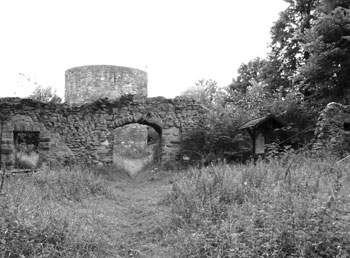Die Ruine der Homburg bei Stadtoldendorf (Foto: Kölle, August 2005)