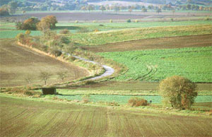 Der Landschaft angepasster Verlauf der alten Straße zwischen Levedagsen und Thüste. (Foto: Wiegand, Okt. 02, HM-XXVI-29)