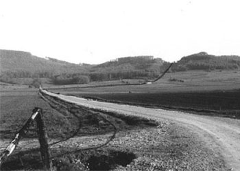 Linienführung der Kalkbahn zum Thüster Berg. (Foto: Heise, 1973)