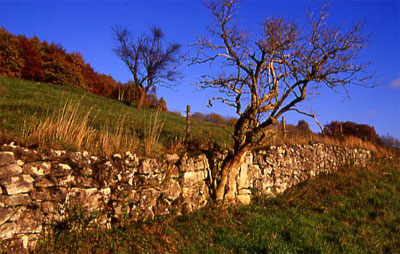 Lesesteinmauer aus der Nähe (Foto: Wiegand, Okt. 02, HM- XXVII-5)