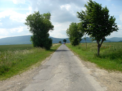 Der sogenannte "Melkerschnellweg" (Foto: Pülm, Juni 2005)