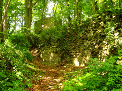 Reste alter Mauern auf dem Burgberg (Foto: Pülm, Juni 2005)